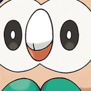 Meet your Posher, Logan